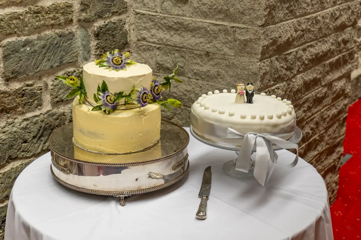 Joe & Safia wedding photo 3